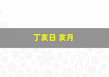 丁亥日 亥月